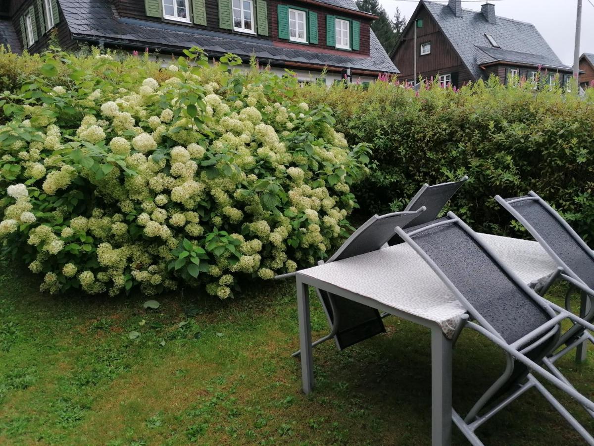 Ferienhaus Am Wald Bad Elster Zewnętrze zdjęcie