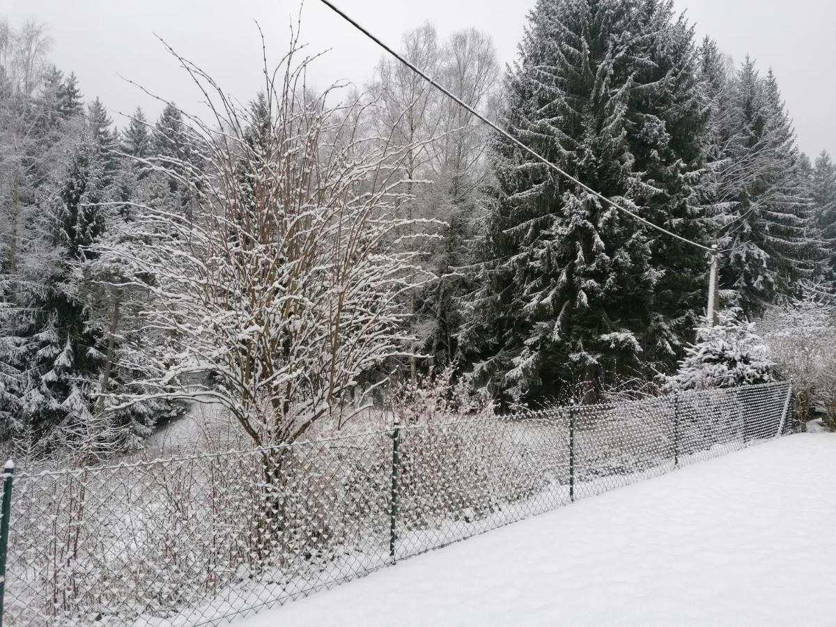 Ferienhaus Am Wald Bad Elster Zewnętrze zdjęcie